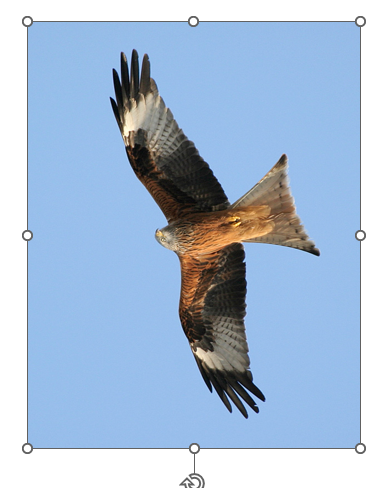 зеркальное отражение картинки Поворот на 180 или результативная картинка