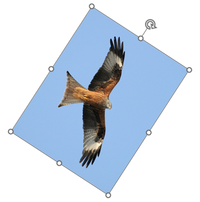 вручную поворачиваем фигуру Ручное вращение картинки