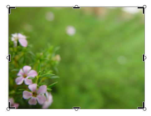 Значок обрезки по краям рисунка