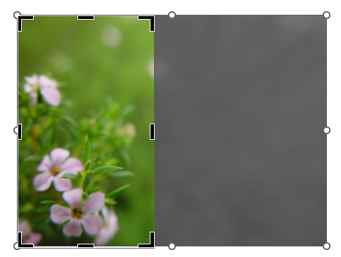 Выделяем область для обрезки