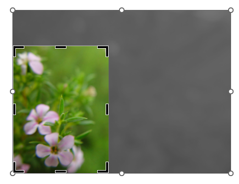 Выбираем конкретную область для обрезки изображения