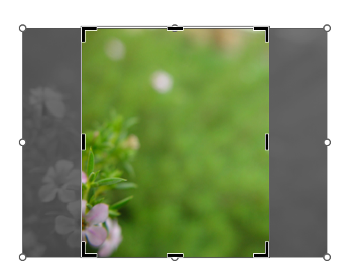 Обрезка изображения с двух противоположных сторон