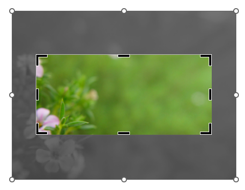 Обрезка изображения со всех сторон одновременно