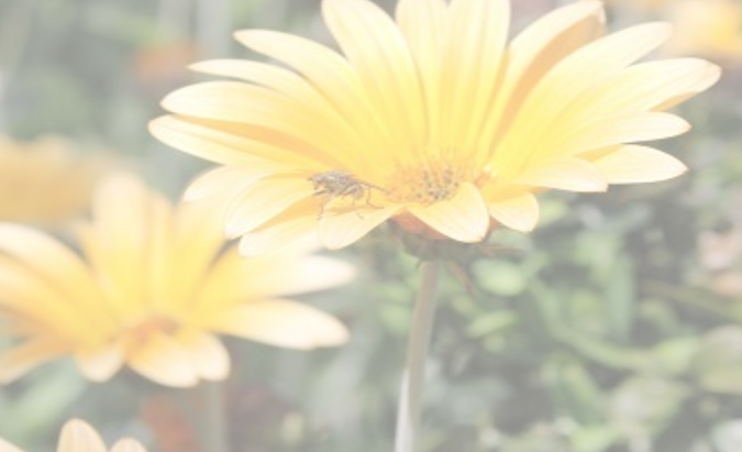 Определение степени прозрачности рисунка