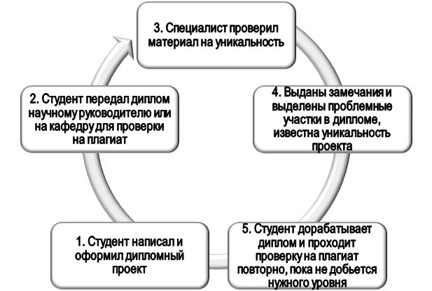 Как дипломный проект проверяют на плагиат?